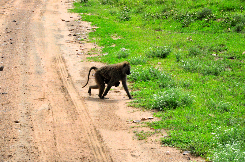 Melanie Heinrich Travel Images Africa